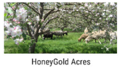 HoneyGold Acres